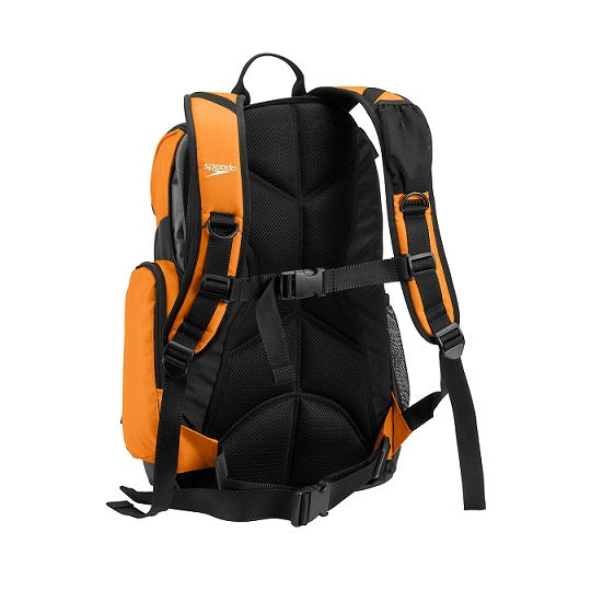 https://web.metroswimshop.com/images/7520115_970.jpg