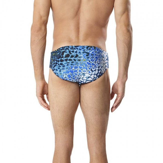 https://web.metroswimshop.com/images/977 back.jpg