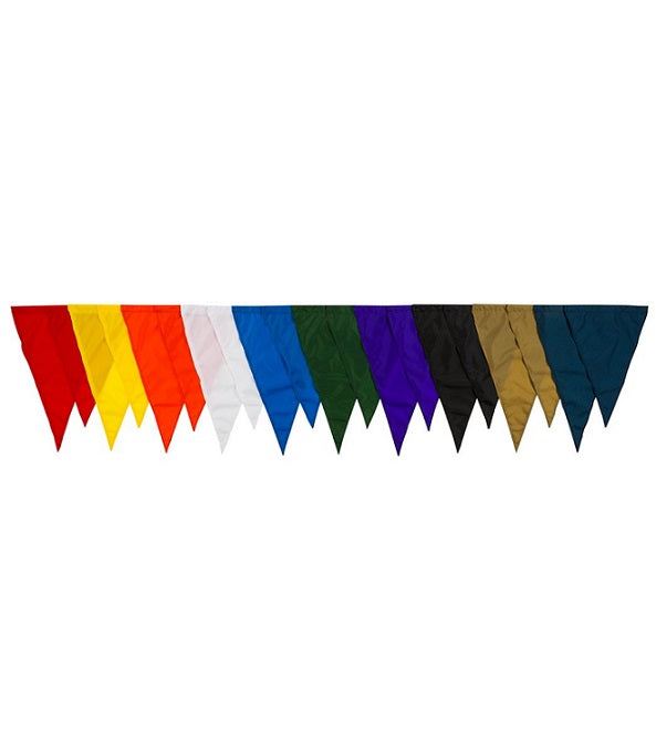 https://web.metroswimshop.com/images/BT_BackstrokeFlags_532.jpg?BT_Backstrokeflags.1.jpg?BT_Backstrokeflags.2.jpg
