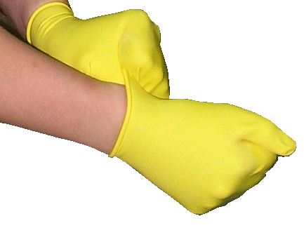 https://web.metroswimshop.com/images/BT_FistGlove_759.gif