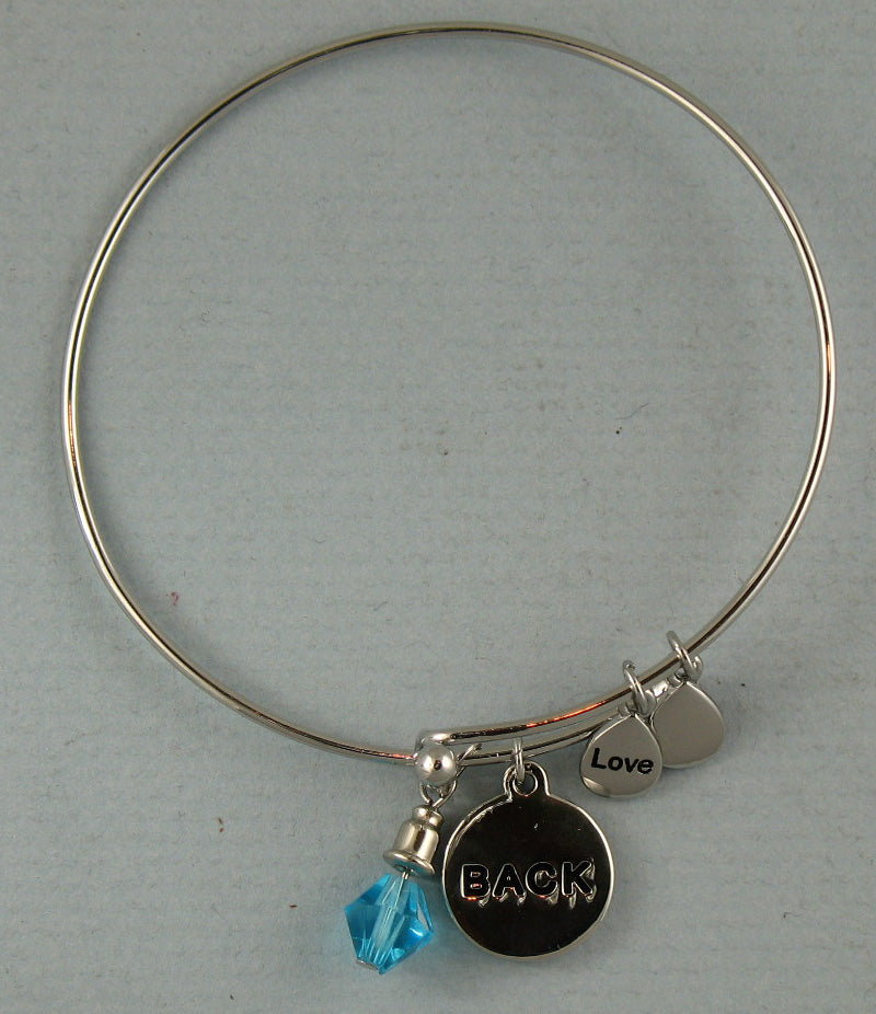 https://web.metroswimshop.com/images/SilverBack.jpg