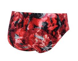 https://web.metroswimshop.com/images/stormybriefredback.jpg